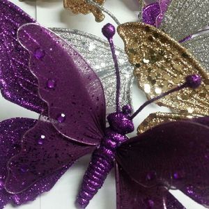 Meet your Posher, Wanda